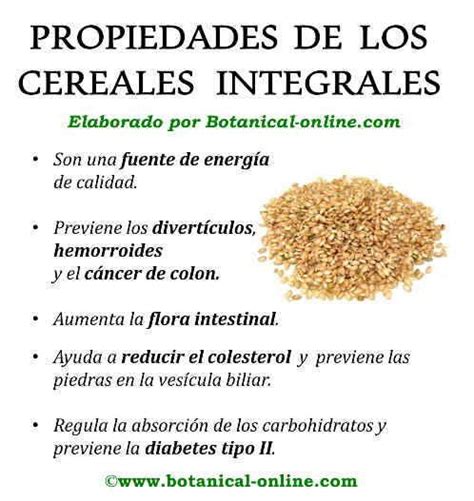 Propiedades de los cereales integrales | cereal ...