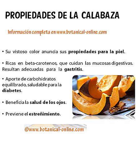 Propiedades De Organica Calabaza 2015 | Personal Blog