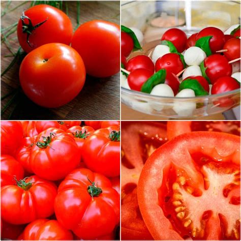 Propiedades del Tomate: beneficios de su consumo, usos y ...