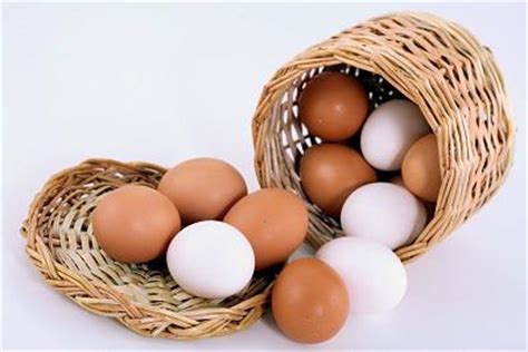 Propiedades nutricionales del Huevo en la alimentación