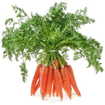 Propiedades terapéuticas de la zanahoria