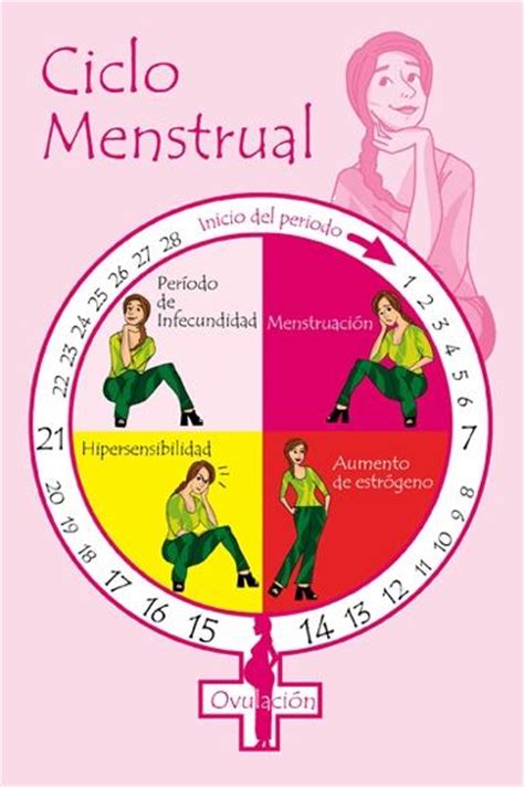 Prosalud Venezuela | Ciclo Menstrual