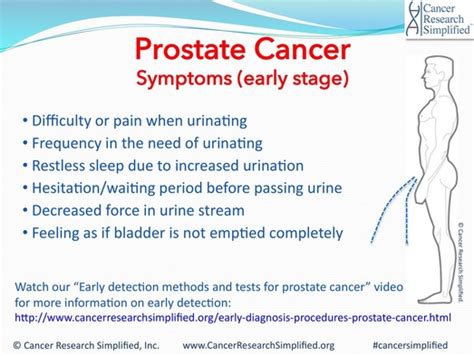 Prostate Cancer Symptoms   Part 1. Early Stage #Cancer # ...