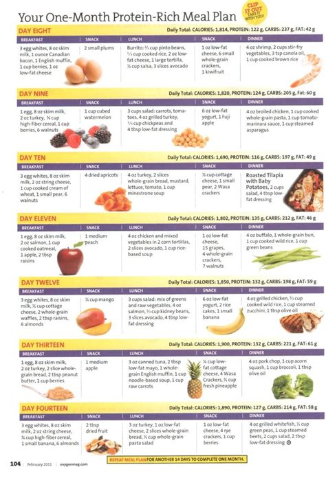 Protein meal plan