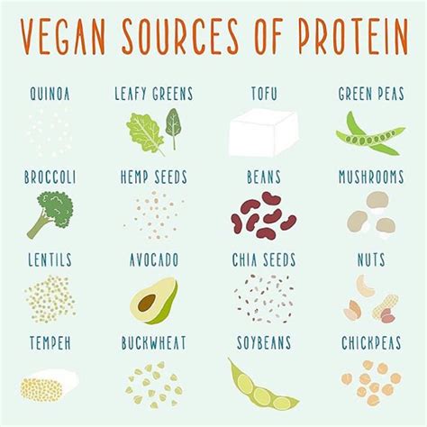 Protein on a low FODMAP Vegan Diet | The FODMAP Friendly Vegan