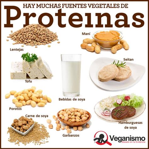 proteinas en la dieta vegana vegetariana mitos y ...