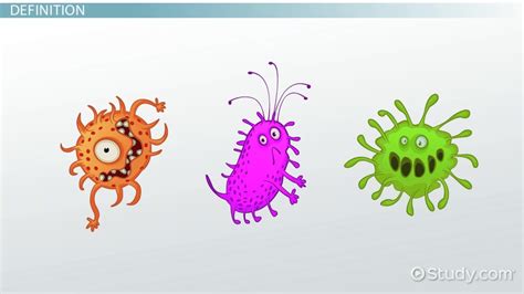 Protista Kingdom Examples Of Organisms | www.pixshark.com ...