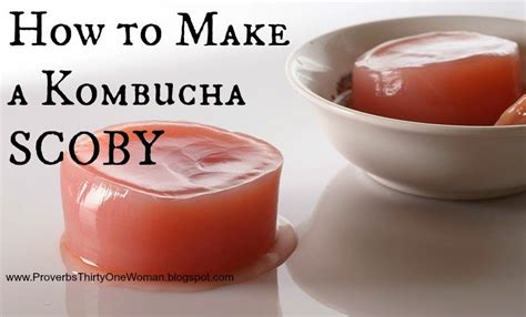 Proverbs 31 Woman: How to Make a SCOBY for Kombucha