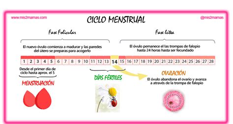 Próximo Ciclo menstrual   Mis2mamás