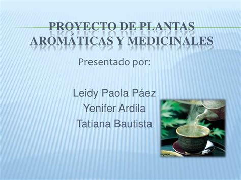 Proyecto de plantas medicinales