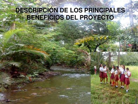 Proyecto vivero forestal institucional