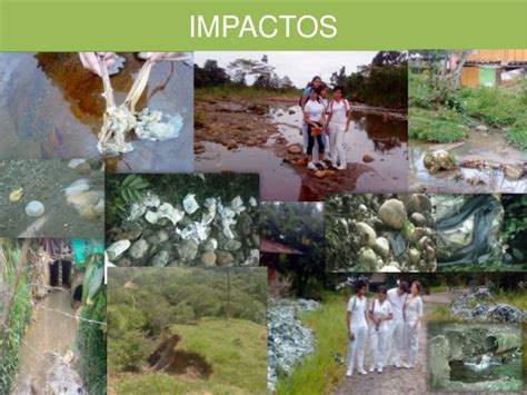 Proyecto vivero forestal institucional