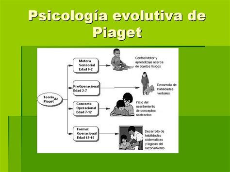 PSICOLOGÍA Paula Carrera: Piaget y la psicología evolutiva.