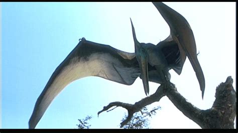 Pteranodon | Jurassic park Wiki | FANDOM powered by Wikia