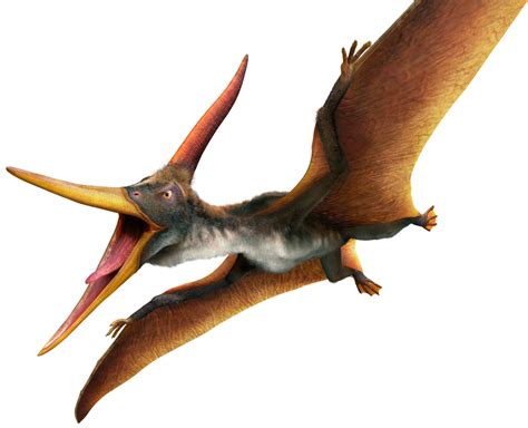 Pteranodon | Pteranodon Facts | DK Find Out