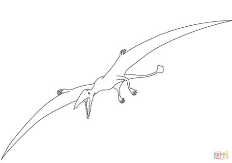 Pterodactyl Dinosaur coloring page | Free Printable ...