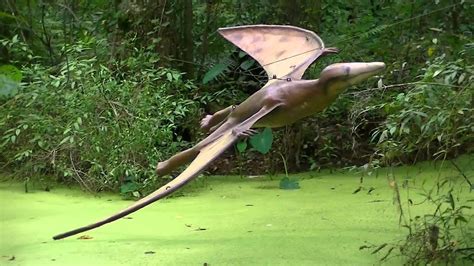 Pterodactylus at Dinosaur World FL   YouTube