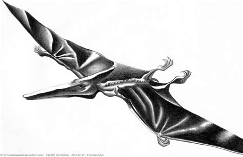 Pterodactylus   Facts and Pictures