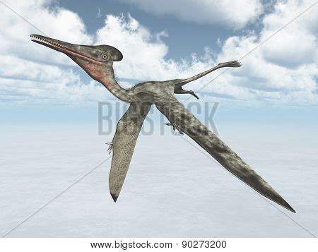 Pterodactylus Images, Stock Photos & Illustrations | Bigstock