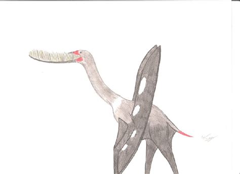 Pterodaustro Pictures & Facts   The Dinosaur Database