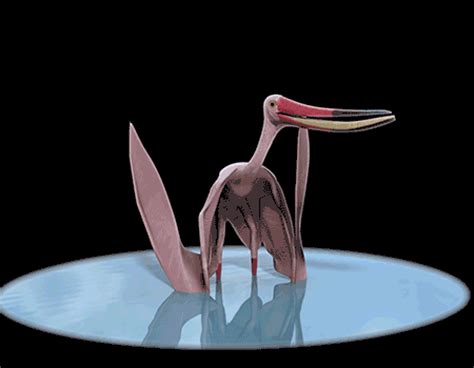 Pterosaur of the Day: Pterodaustro
