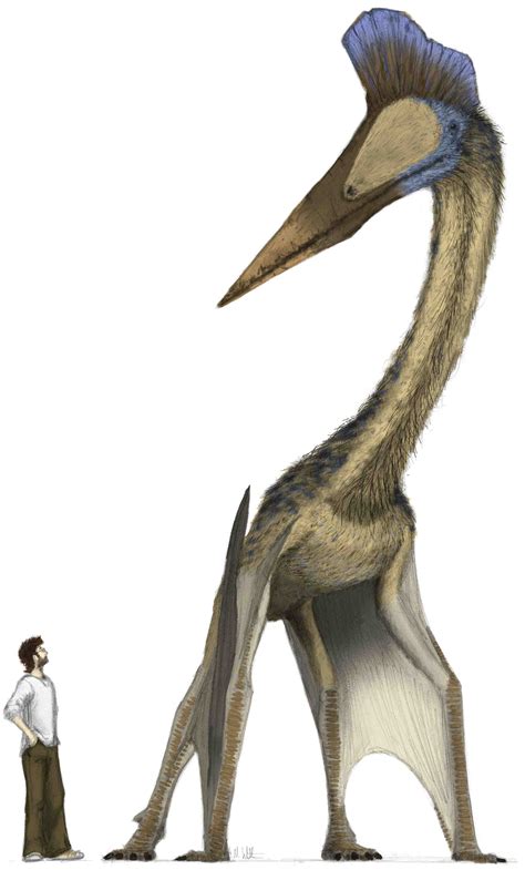 pterosaur | Science Buzz