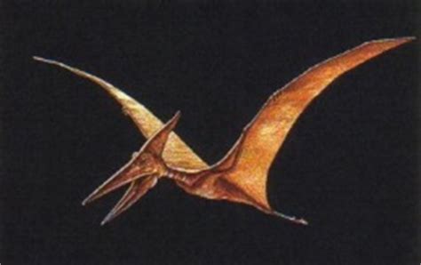 Pterosaurio   EcuRed