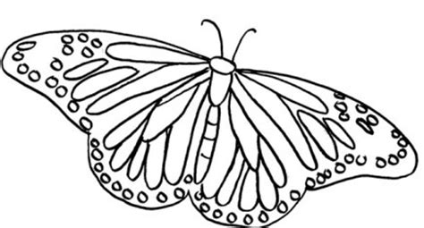 Puedes Disfrutar Dibujos Para Pintar De Mariposas ...