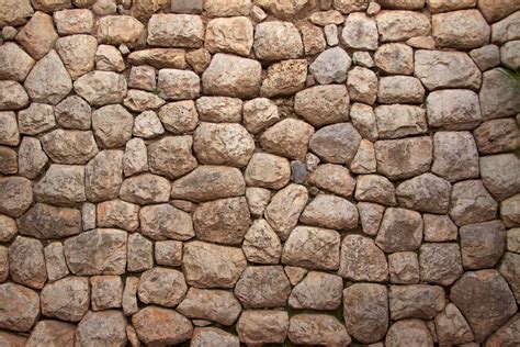 ¿Qué alimentos evitar si tienes piedras en el riñón ...