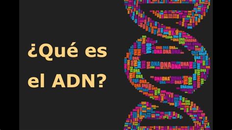 ¿Qué es el ADN?   YouTube