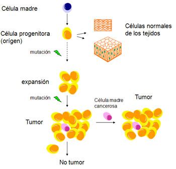 ¿Qué es el cáncer y cómo se desarrolla?