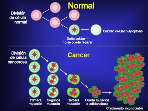¿Qué es el Cancer? Definición, Desarrollo, Tratamientos ...