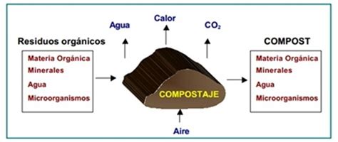 ¿Qué es el compostaje? | Eugenes Fernandez