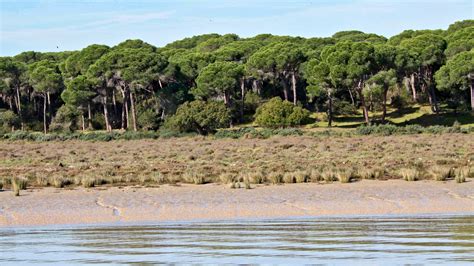 ¿Qué es el Espacio Natural de Doñana?   CMMedia