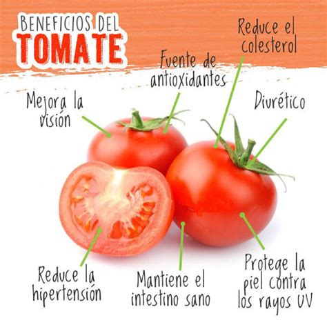 ¿Qué Es El Tomate Y Cuáles Son Sus Beneficios?