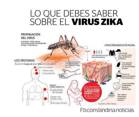 ¿Qué es el Zika?: Síntomas y como se previene – Notinor Jujuy