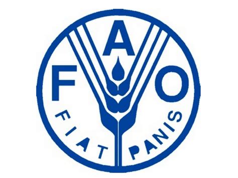 ¿Qué es FAO?