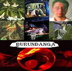 Qué es la Burundanga? La droga que roba la voluntad ...