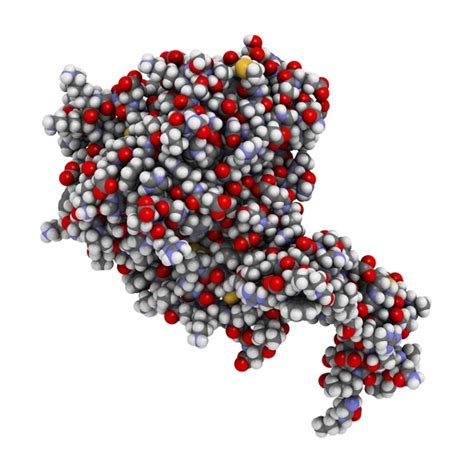 ¿Qué es la proteína C reactiva?   Demedicina.com