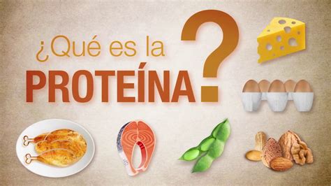 ¿Qué es la proteína?   YouTube