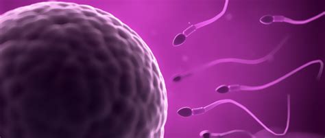 ¿Qué es la reproducción humana? – Medica Center FEM SA de CV