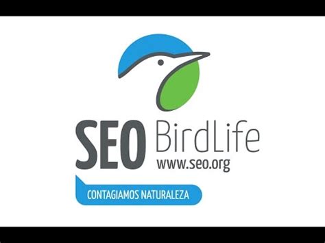 ¿Qué es SEO/BirdLife?  versión HD / Gran Calidad    YouTube