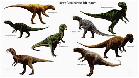 ¿Qué es un dinosaurio y qué no lo es? | Ciencia de Sofá