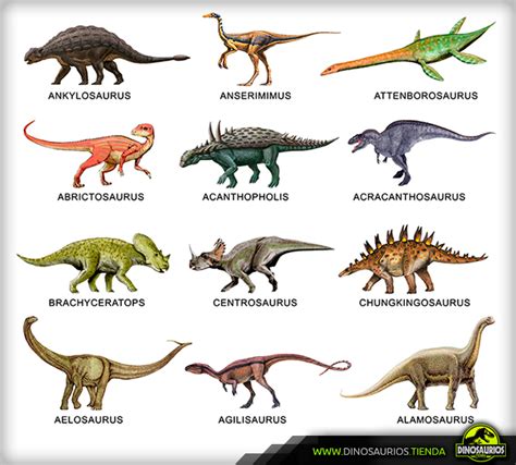 ¿Qué es un dinosaurio? | Mesozoic Blog   información sobre ...