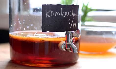 Qué es y cómo preparar Kombucha