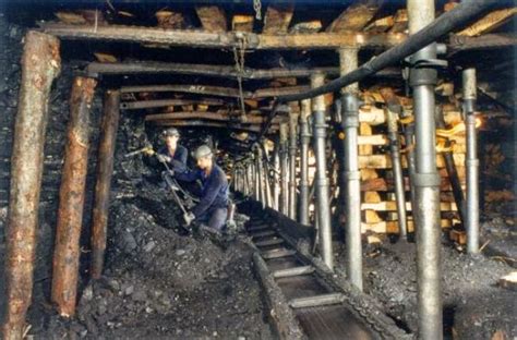 ¿Qué es y de donde proviene el carbón?   POR QUÉ, CÓMO Y DÓNDE