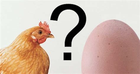 ¿Qué existió primero, el huevo o la gallina? Al fin ...