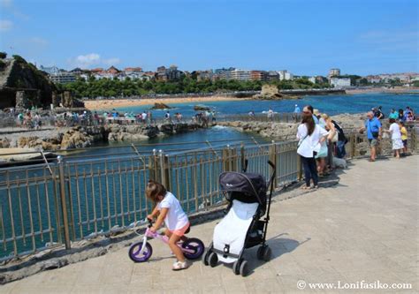 Qué hacer en Santander con niños: Parque de La Magdalena y ...