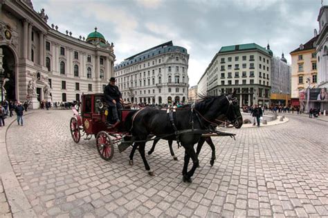 Qué hacer en Viena: Las mejores cosas por hacer en Viena