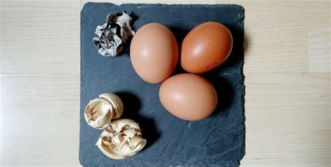¿Qué hay de verdad en los beneficios de los huevos? | Blog ...